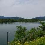 IMG00211.jpg
