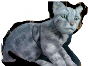 やまねこみやこ.jpg